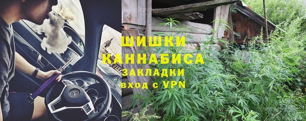 гидра Аркадак