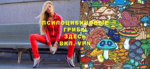 скорость Арсеньев