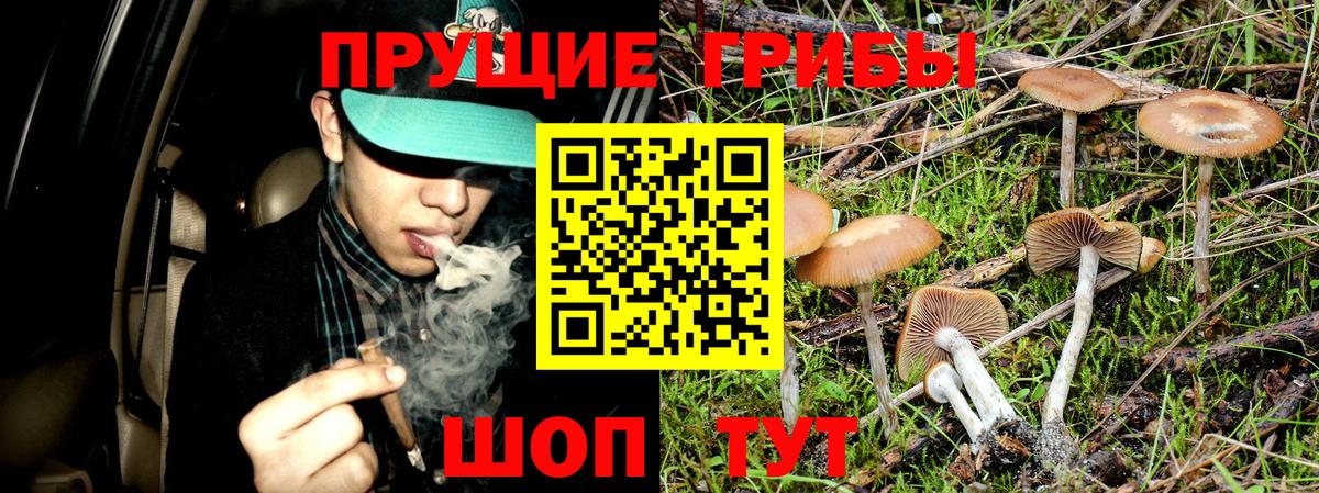 Изобильный  Псилоцибиновые грибы Cubensis  Псилоцибиновые грибы мухоморы  Вход с VPN 
