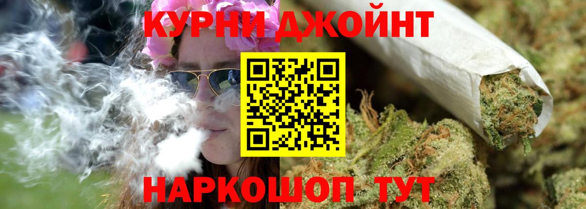 Конопля гибрид Изобильный